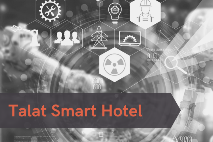 talat_agente_digitalizador_kit_digital_pyme